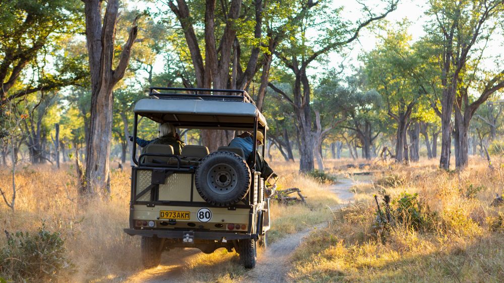 Jungle Safari Jeep India - Resort Trimurti